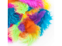 Plunksnos 5-12cm, 5g, exotic