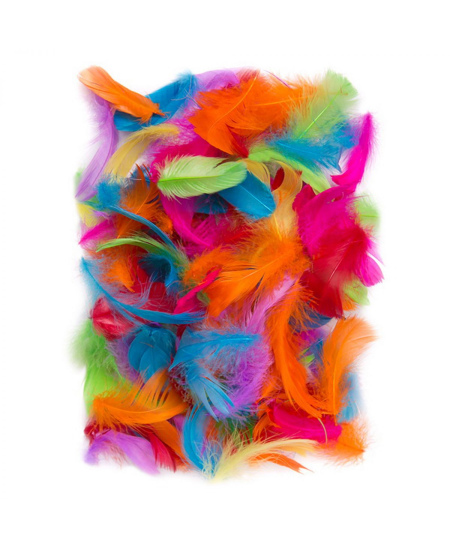 Dekoratyvinės plunksnos, 5–12 cm, 10 g, exotic