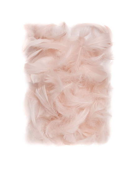 Dekoratyvinės plunksnos, 5–12 cm, 10 g, pastelinės spalvos