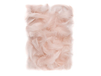 Plunksnos 5-12cm 10g, pastelinės sp.