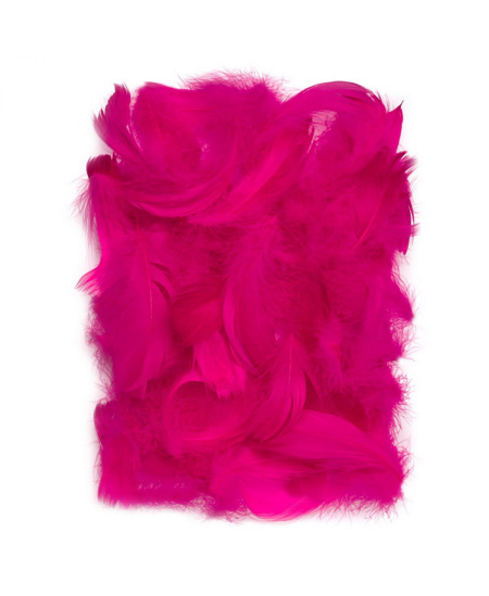 Dekoratyvinės plunksnos, 5–12 cm, 10 g, tamsiai rausvos