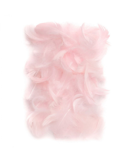 Dekoratyvinės plunksnos, 5–12 cm, 10 g, rausvos