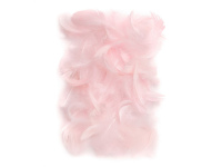 Plunksnos 5-12cm 10g, rausvos