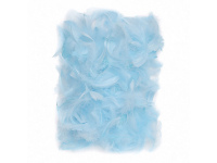 Plunksnos 5-12cm 10g, mėlynos