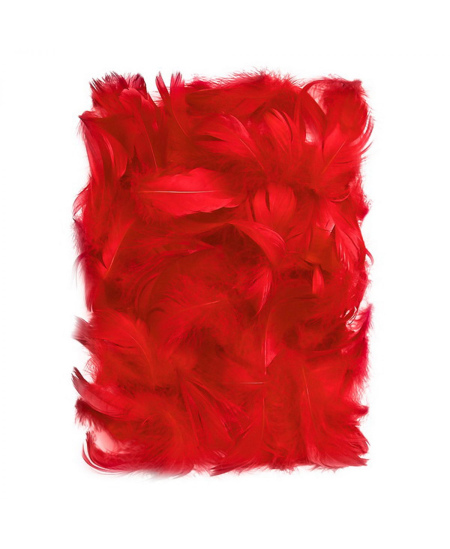Dekoratyvinės plunksnos, 5–12 cm, 10 g, raudonos