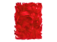 Plunksnos 5-12cm 10g, raudonos