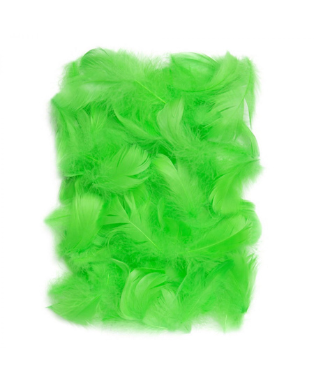 Dekoratyvinės plunksnos, 5–12 cm, 10 g, žalios