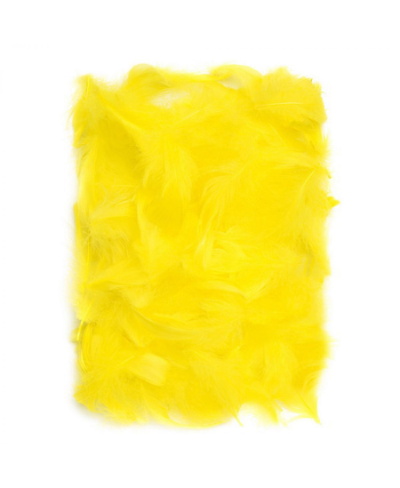 Dekoratyvinės plunksnos, 5–12 cm, 10 g, geltonos