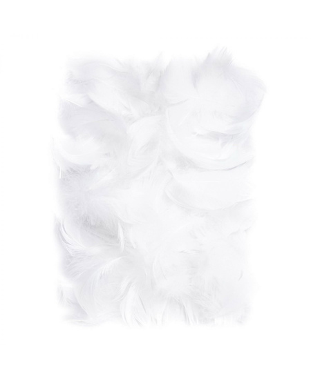 Dekoratyvinės plunksnos, 5–12 cm, 10 g, baltos