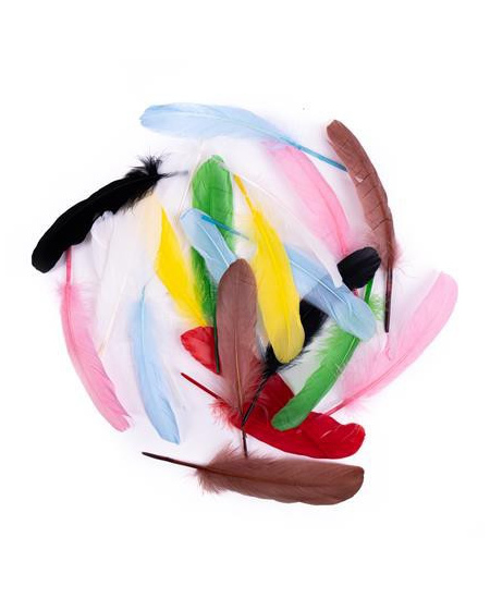 Dekoratyvinės žąsų plunksnos, 16 cm, 20 vnt., mix
