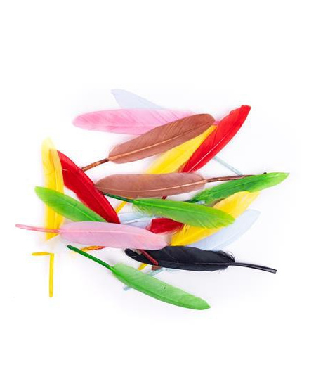 Dekoratyvinės žąsų plunksnos, 13 cm, 20 vnt., mix