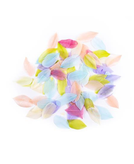 Dekoratyvinės žąsų plunksnos, 6 cm, 5 g, pastelinės spalvos
