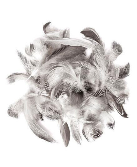 Dekoratyvinės ančių plunksnos, 15–20 cm, 5 g