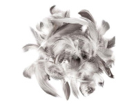 Plunksnos anties 15-20cm 5g