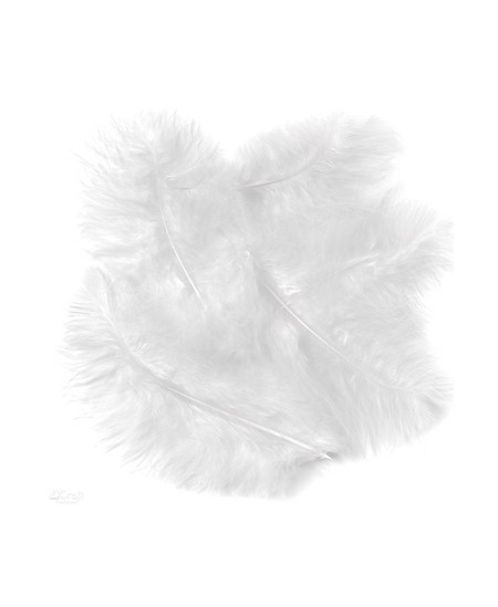 Dekoratyvinės kalakutų plunksnos, baltos, 15 cm, 5 vnt.