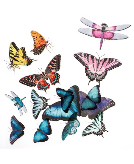 Lipdukai Butterflies, matiniai