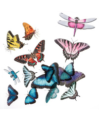 Lipdukai matiniai BUTTERFLIES