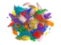 Plunksnos 4-7cm 10g ryškios mix sp