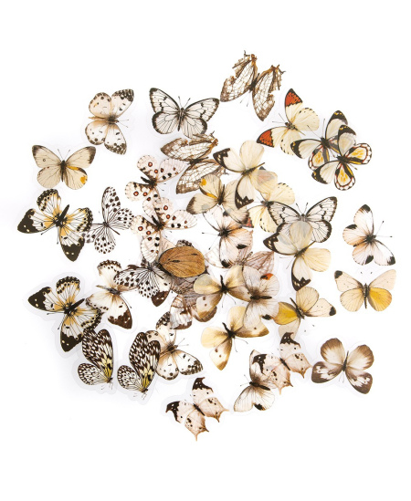 Lipdukai Drugeliai, balti juodi, 40 vnt.