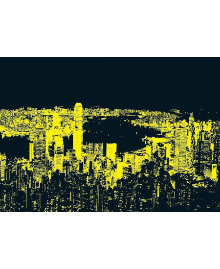 Dėlionė EDUCA Neon Hong Kong Skyline, 1000 detalių