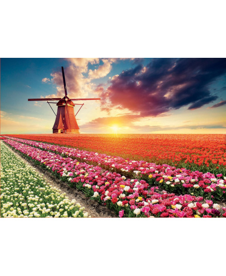 Dėlionė EDUCA Tulpių peizažas, 1500 detalių