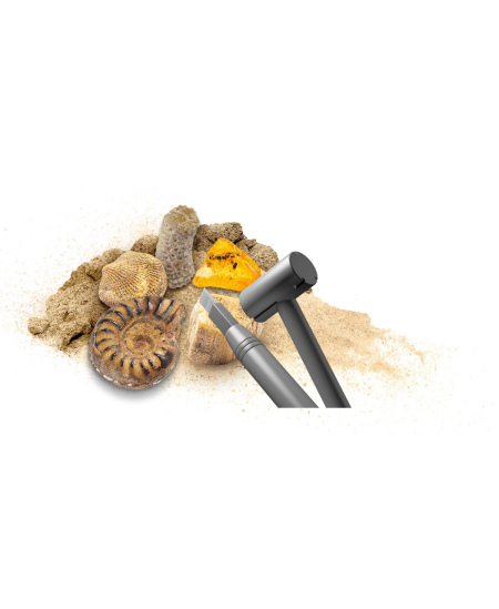 Lavinamasis rinkinys KOSMOS Dig Out Fossils