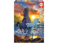 Dėlionė (puzzle) 1000 VEINARAGIAI PAPLŪDYMYJE 12-99 metų