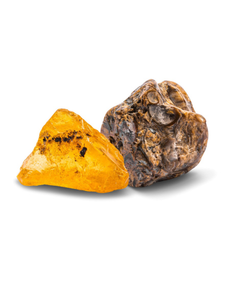 Lavinamasis rinkinys KOSMOS Dig Out Fossils