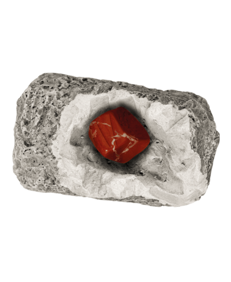 Kasinėjimo rinkinys KOSMOS DIG It! Minerals & Fossils