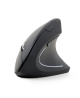 Gembird | MUSW-ERGO-01 | 2.4GHz Wireless Optical Mouse | Optical Mouse | USB | Black