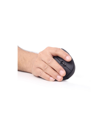 Gembird | MUSW-ERGO-01 | 2.4GHz Wireless Optical Mouse | Optical Mouse | USB | Black