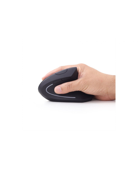 Gembird | MUSW-ERGO-01 | 2.4GHz Wireless Optical Mouse | Optical Mouse | USB | Black