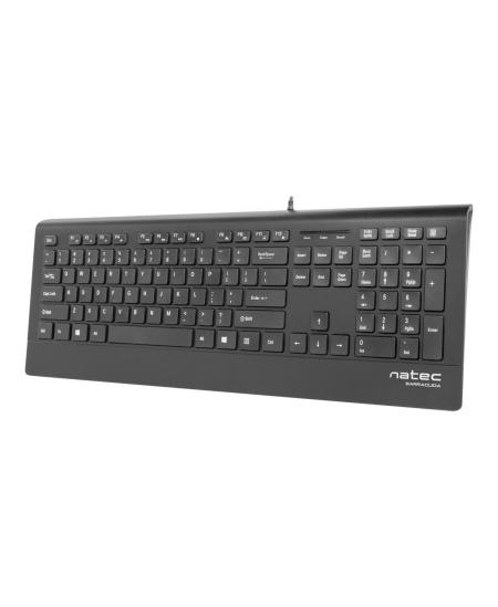 Natec Keyboard, Barracuda, US Layout, Slim | Natec | Keyboard | Barracuda | Standard | Wired | US | Black | 529 g