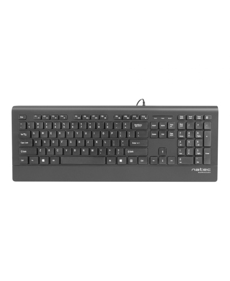 Natec Keyboard, Barracuda, US Layout, Slim | Natec | Keyboard | Barracuda | Standard | Wired | US | Black | 529 g