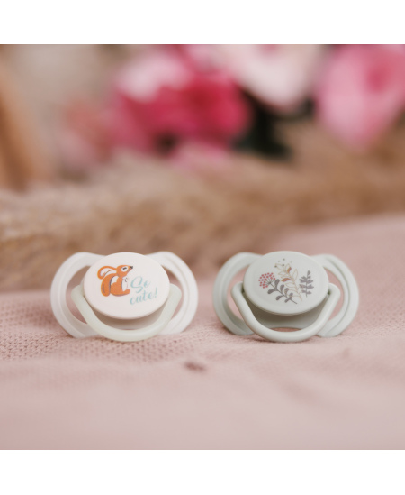 Babyono čiulptukas silikoninis simetrinis 6-18m 1669/02