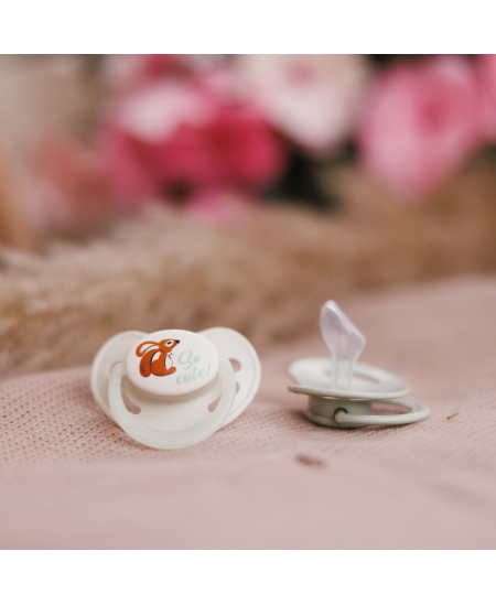 Babyono čiulptukas silikoninis anatominis 6-18m 1670/02
