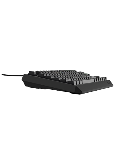 Genesis THOR 230 TKL | Mechanical Gaming Keyboard | Wired | US | Black | USB Type-A | Linear