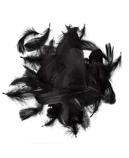 Plunksnos 5-12cm 10g, juodos