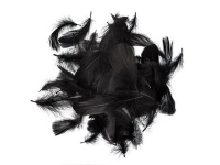 Plunksnos 5-12cm 10g, juodos