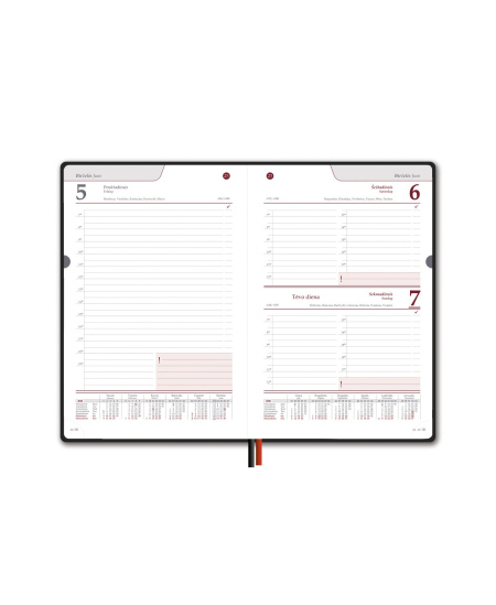 Kalendorius New STANDARD 2026, A5, vyšninė LT