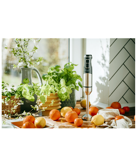 Adler | Hand Blender | AD 4628 | Hand Blender | 1900 W | Number of speeds 1 | Turbo mode | Ice crushing | Stainless Steel/Black