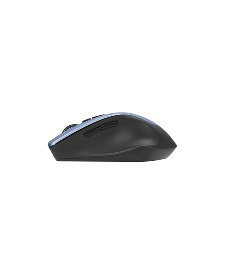 Asus WT425 MOUSE/GY-BL/ | Asus