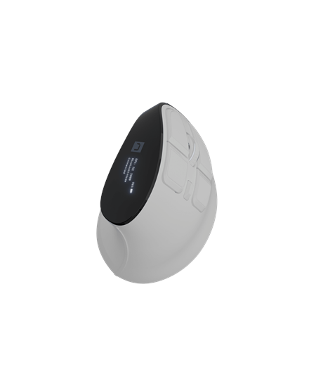 Natec Mouse | Euphonie Pro | Wireless | 2.4 GHz, Bluetooth | White