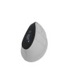 Natec Mouse | Euphonie Pro | Wireless | 2.4 GHz, Bluetooth | White