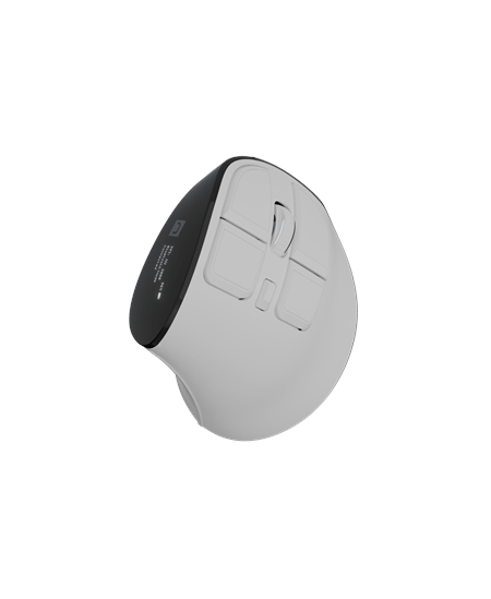 Natec Mouse | Euphonie Pro | Wireless | 2.4 GHz, Bluetooth | White