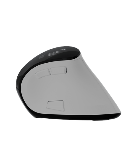 Natec Mouse | Euphonie Pro | Wireless | 2.4 GHz, Bluetooth | White