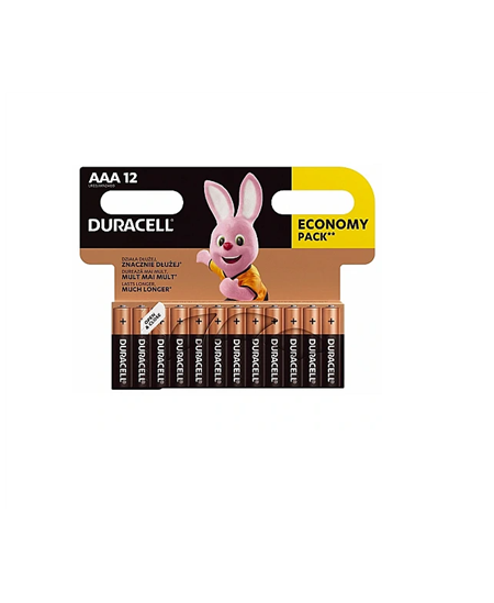 Duracell | Basic MN2400 BL12 | AAA