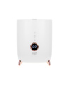 Adler | AD 7972 | Humidifier | 23 W | Water tank capacity 4 L | Suitable for rooms up to 35 m² | Ultrasonic | Humidification ca