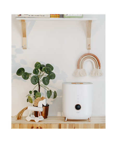 Adler | AD 7972 | Humidifier | 23 W | Water tank capacity 4 L | Suitable for rooms up to 35 m² | Ultrasonic | Humidification ca
