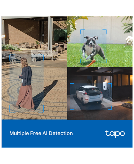 TP-LINK | Pan/Tilt Security Wi-Fi Camera | Tapo C520WS | Dome | 4 MP | 3.18 mm/F1.6 | IP66 | H.264 | MicroSD, up to 512 GB